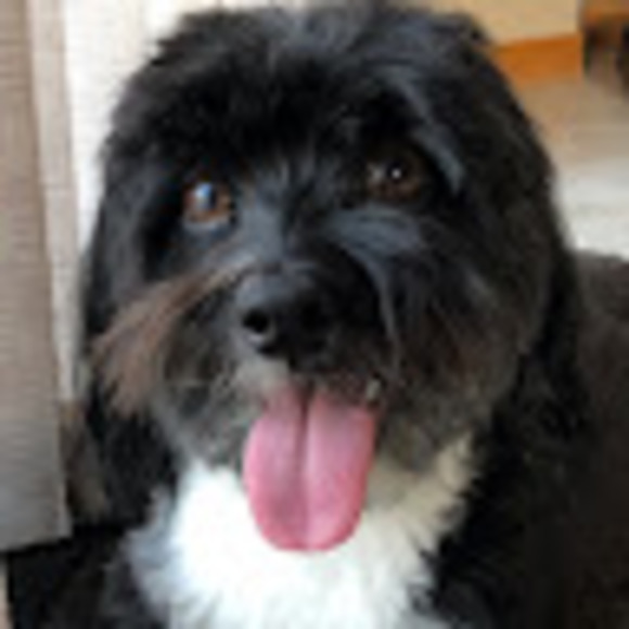 Meet your Posher, Donna - Picture 1 of 1